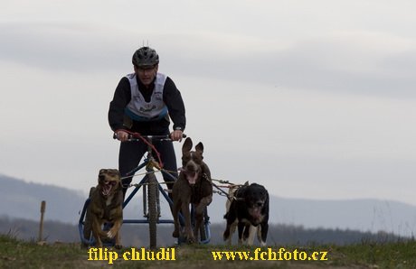 Trnavka 08 - 288.jpg